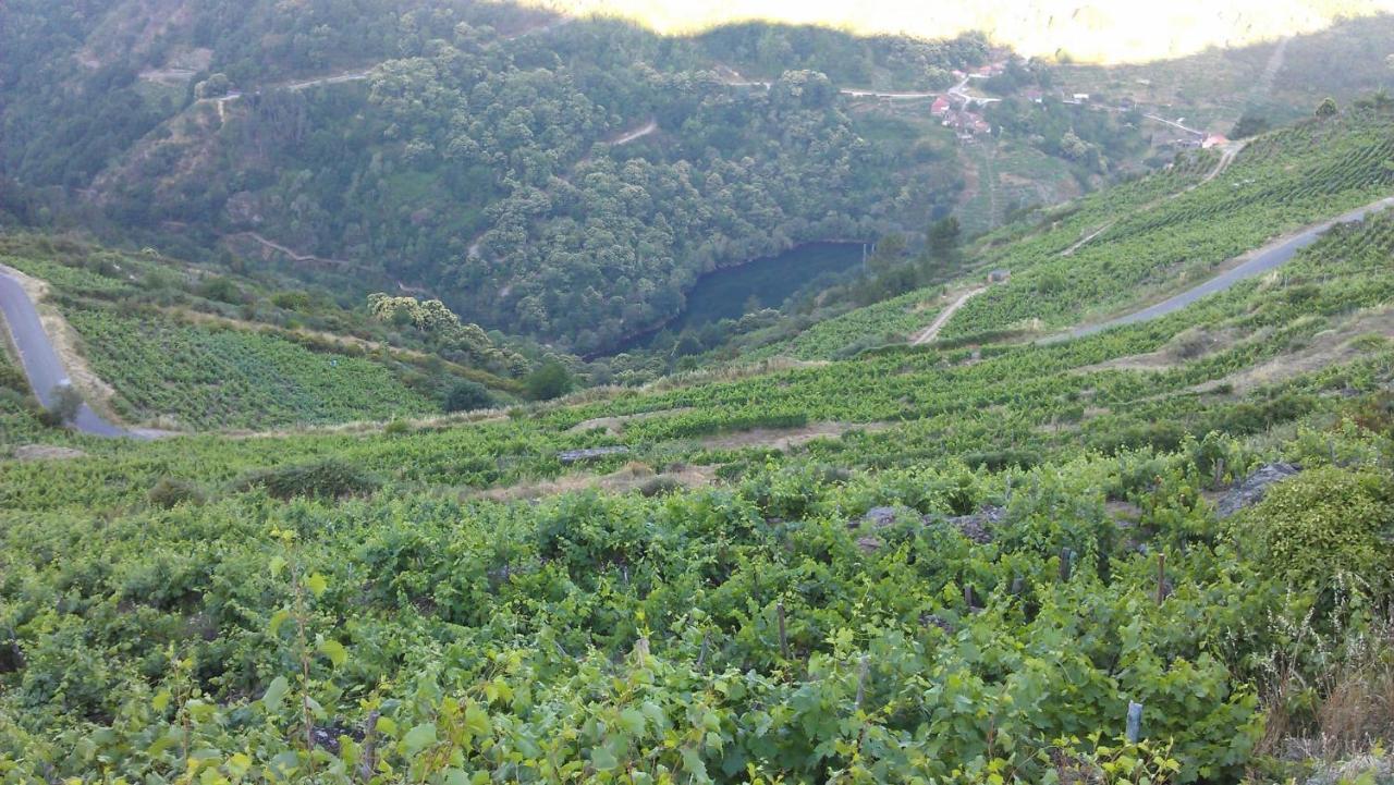 CristosendeBalcon Da Pena Da Moura公寓 外观 照片